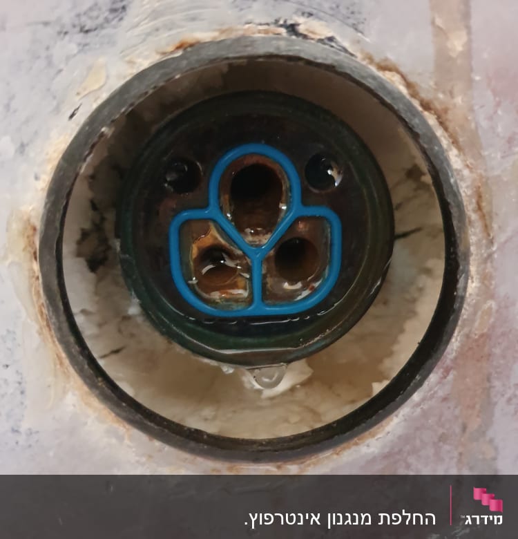 חלק פנימי של ברז עם אטם גומי כחול